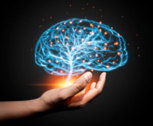 Weird Facts About the Human Body