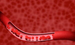 Weird Facts About the Human Body, red blood cells