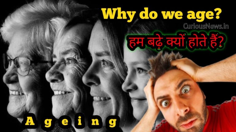 The Ageing process of the human